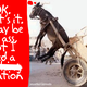 Illustration for article titled Robotic Pack Mule is More Pantomime Horse than BigDog